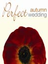 The Perfect Autumn Wedding